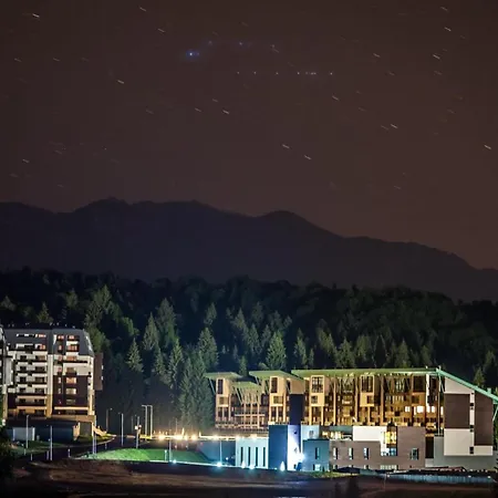 Silver Mountain & 公寓式酒店 3*