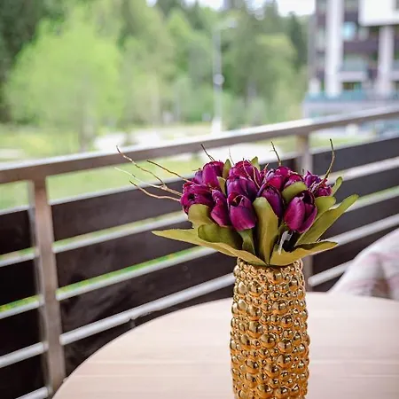 Silver Mountain & Apartmanhotel Brassópojána
